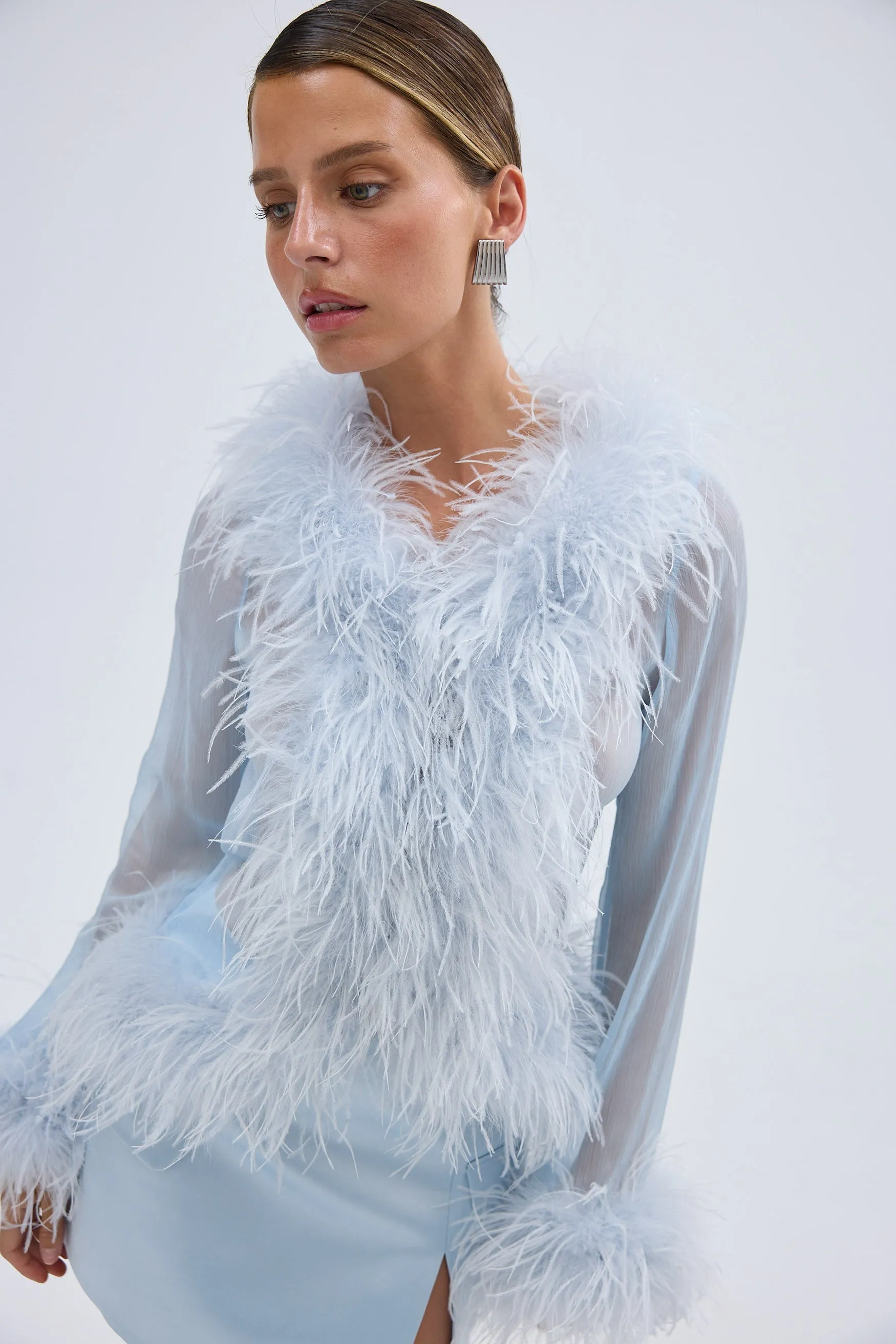Gigi Sheer Feather Blouse - Pale Blue