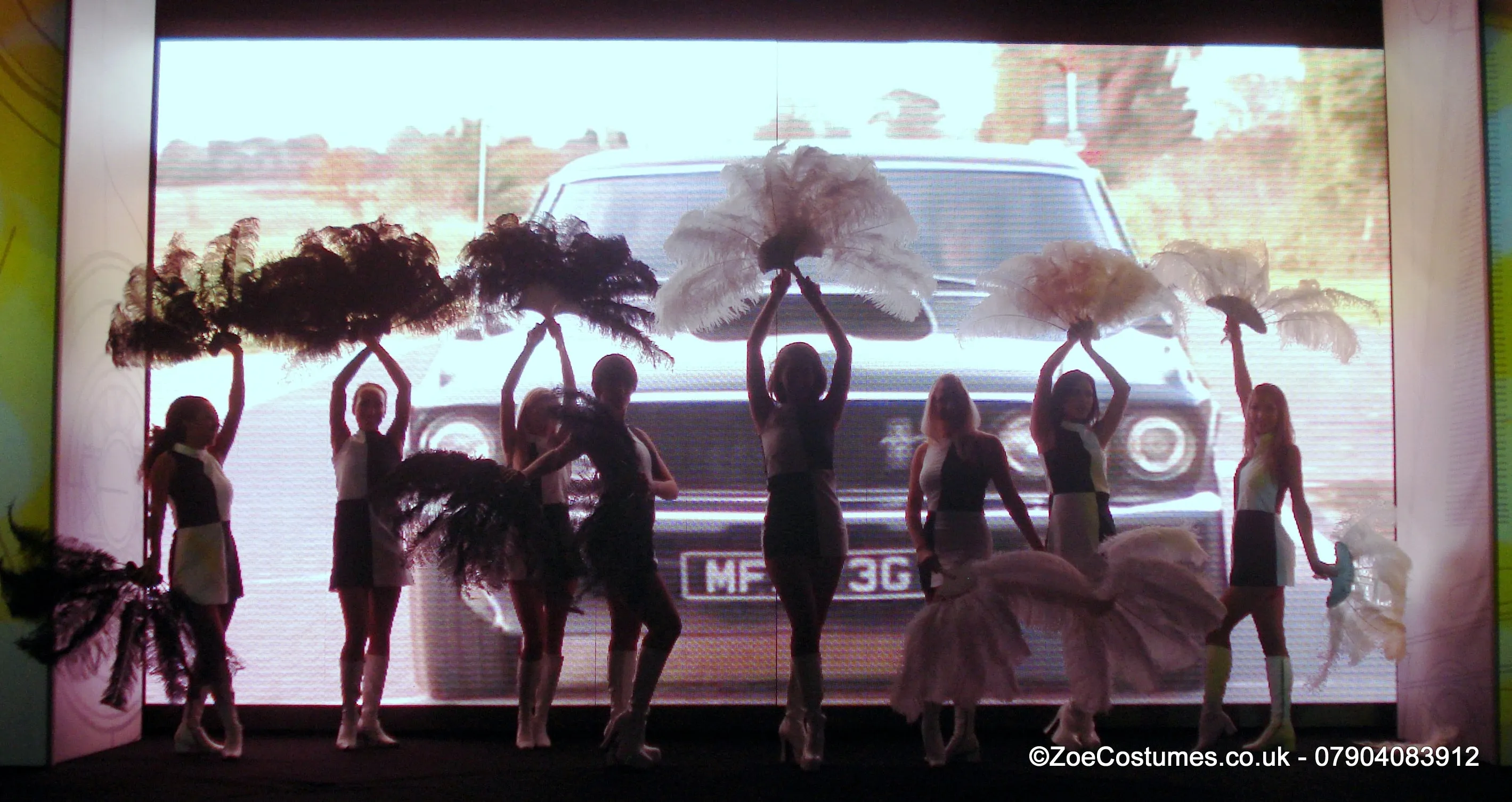 Pink Burlesque Feather Fans for Hire | Zoe London Dance Costumes Hire