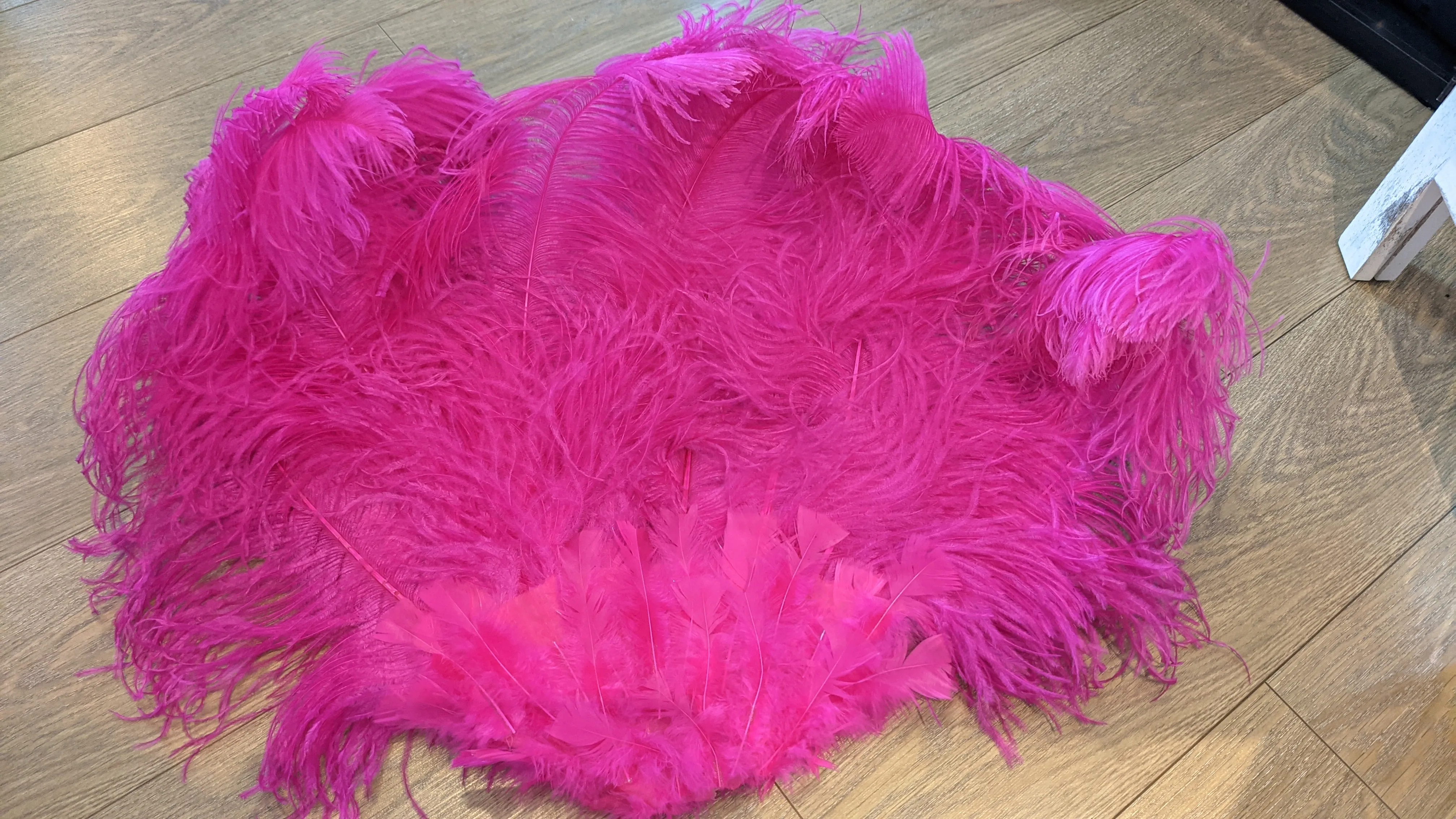 Pink Burlesque Feather Fans for Hire | Zoe London Dance Costumes Hire