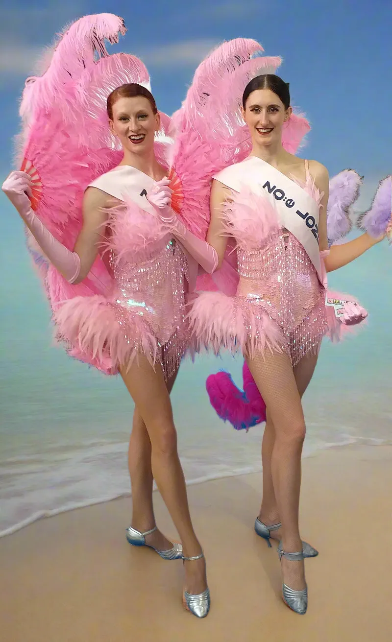 Pink Burlesque Feather Fans for Hire | Zoe London Dance Costumes Hire