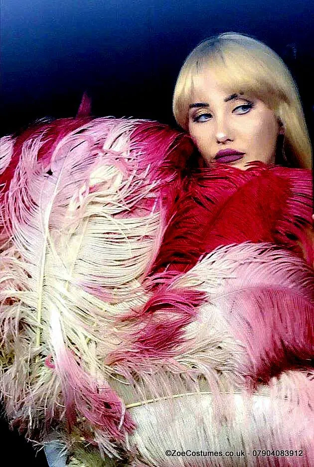 Pink Burlesque Feather Fans for Hire | Zoe London Dance Costumes Hire