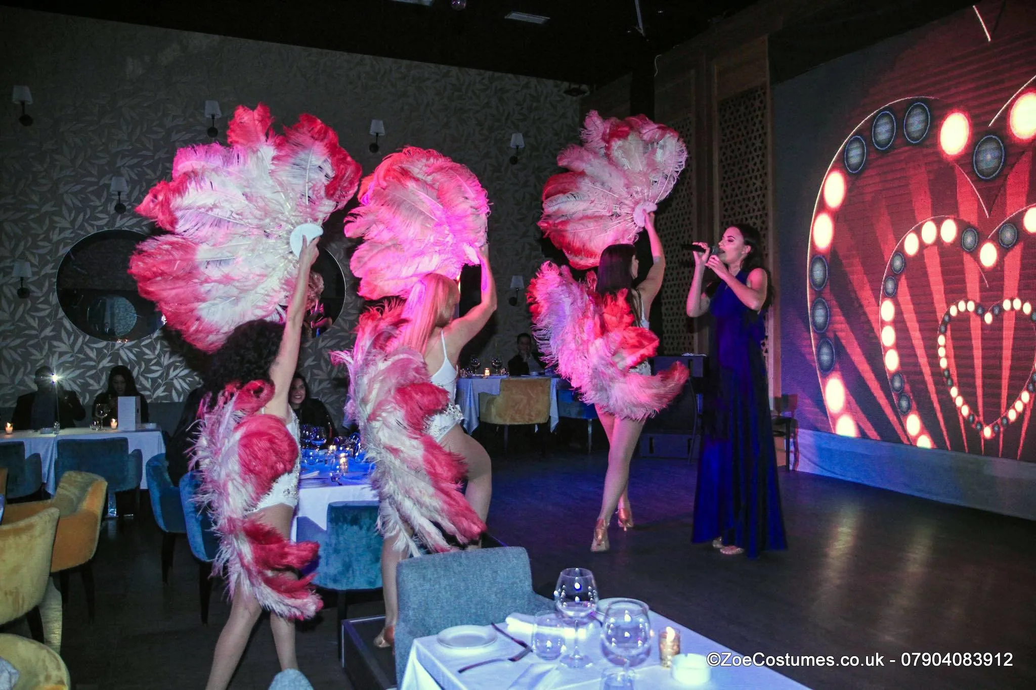 Pink Burlesque Feather Fans for Hire | Zoe London Dance Costumes Hire