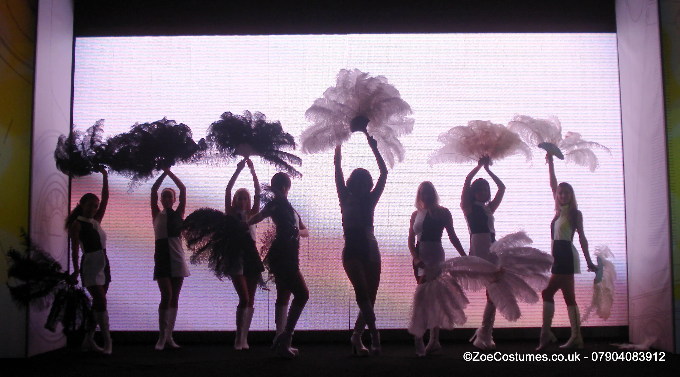 Pink Burlesque Feather Fans for Hire | Zoe London Dance Costumes Hire