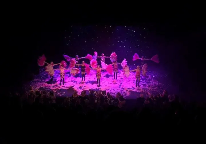 Pink Burlesque Feather Fans for Hire | Zoe London Dance Costumes Hire