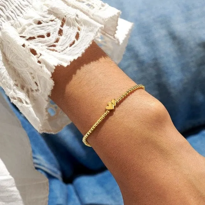 You Are So Lovely You Brighten Every Day Gold Plated 17.5cm Bracelet 6782
